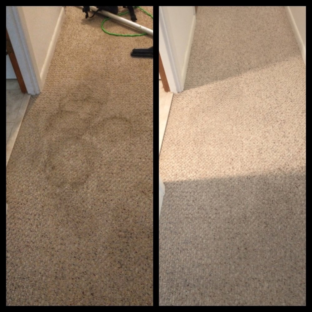 GREEN STEPS CARPET CARE Updated September 2024 18 Photos & 14