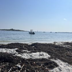 Town of Long Island - Beach