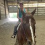 Photo of Rocking L Ranch
