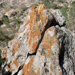 Dinosaur National Monument - A colorful rock formation
