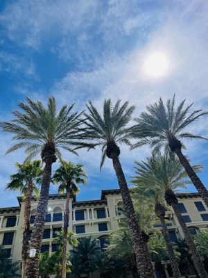 The Pool at Green Valley Ranch by null