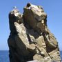 Lover's Cove