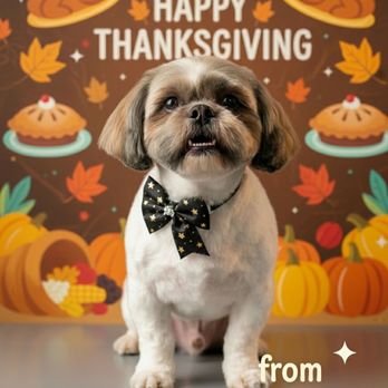 Bubble Pup Salon - Pet Groomers Near Me - Los Angeles, California Bubble Pup Salon - Pet Groomers Near Me - Los Angeles, California