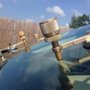 Photo of Glass Monkey
