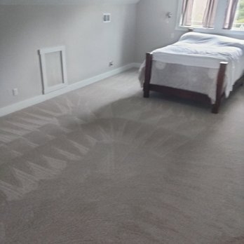 Squeaky Fin's Cleaning - Vacuumed pattern - Home Cleaning Near Me Squeaky Fin's Cleaning - Vacuumed pattern - Home Cleaning Near Me