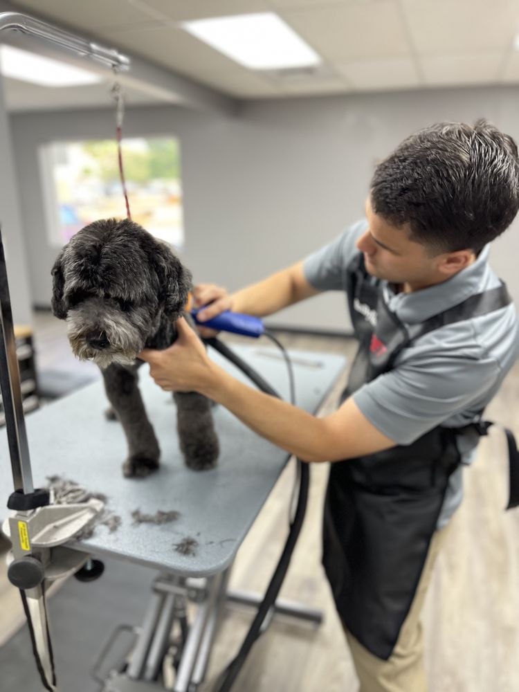 EXPAWLIBUR PET GROOMING Updated September 2024 11 Photos 1325 S