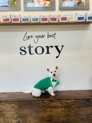 Story Coffee Company by null