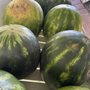 Photo of Sticky Bottom Produce
