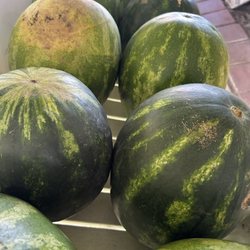 Sticky Bottom Produce - Watermelons