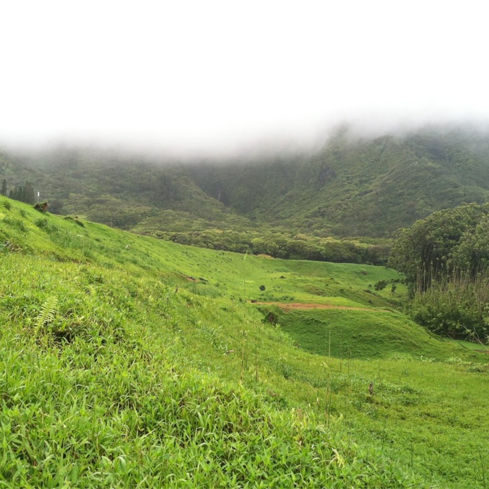 Lulumahu Falls - Hiking Near Me - Honolulu, Hawaii Lulumahu Falls - Hiking Near Me - Honolulu, Hawaii
