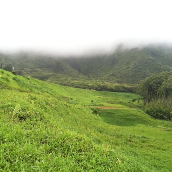 Lulumahu Falls - Hiking Near Me - Honolulu, Hawaii Lulumahu Falls - Hiking Near Me - Honolulu, Hawaii