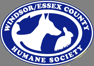 HUMANE SOCIETY WINDSOR-ESSEX COUNTY - Updated February 2026 - 1375