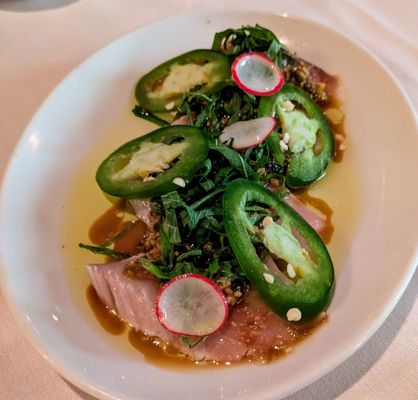 Dr. Clark by null Dr. Clark by null