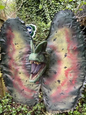 Backyard Terrors and Dinosaur Park by null