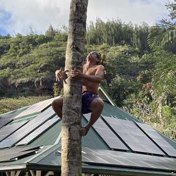 Toa Luau - Coconut tree climbing demonstration - Cultural Center Near Me - Haleiwa, Hawaii Toa Luau - Coconut tree climbing demonstration - Cultural Center Near Me - Haleiwa, Hawaii