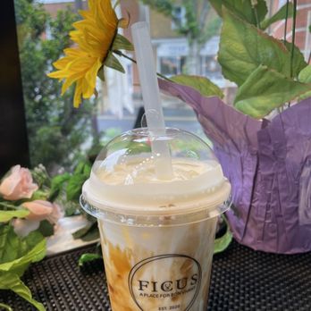 Ficus - Brown Sugar Boba Milk - Bubble Tea Near Me - Princeton, New Jersey