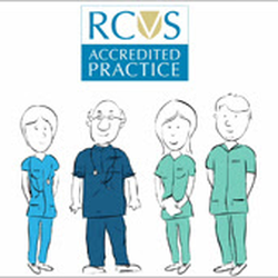 Notting Hill Vet - RCVS Accredited Practice