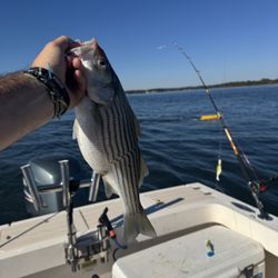Storm’s Tide Charters