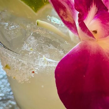 Coco’s Fire & Ice - House Margarita - Mexican Near Me - Dallas, Texas Coco’s Fire & Ice - House Margarita - Mexican Near Me - Dallas, Texas