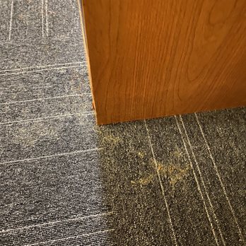 Rodeway Inn - Crusty stains on carpet - Hotels Near Me - Tahlequah, Oklahoma Rodeway Inn - Crusty stains on carpet - Hotels Near Me - Tahlequah, Oklahoma