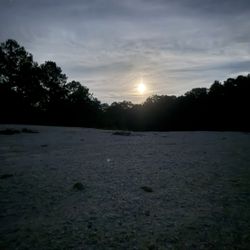 Wolf River Adventure Paddling - Sand bar on wolf river full moon paddle