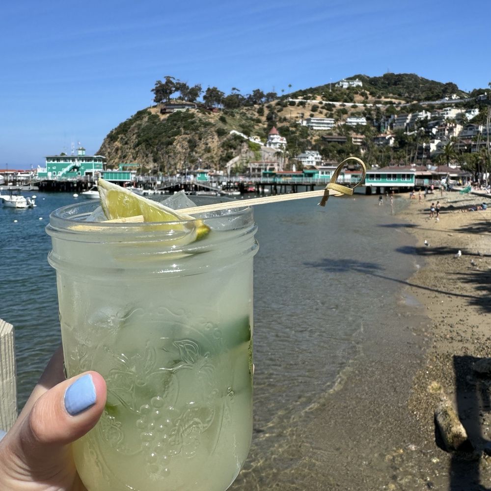 Bluewater Avalon - Cucumber mojito - Seafood Near Me - Avalon, California Bluewater Avalon - Cucumber mojito - Seafood Near Me - Avalon, California