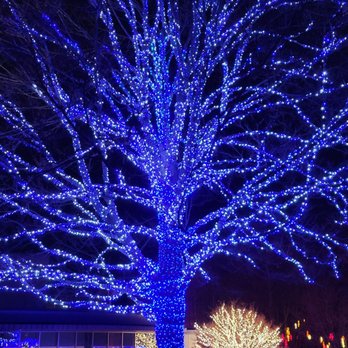Newfields - They made sure to teim every single lil branch... LOVE - Parks Near Me - Indianapolis, Indiana