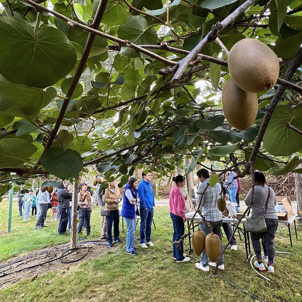 TOP 10 BEST Blueberry Picking in Chillum, MD - Updated 2026 - Yelp