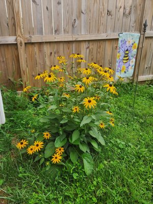Meadows Farms Nurseries and Landscape