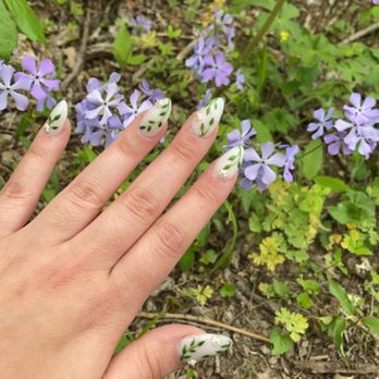 8001 Nails & Spa - Leaf nails $95 - Nail Salons Near Me - Phoenix, Arizona