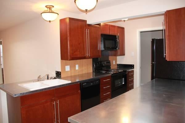 Slide of Rollo Gurss Construction and Roofscapes