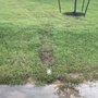 Photo of The French Drain Company