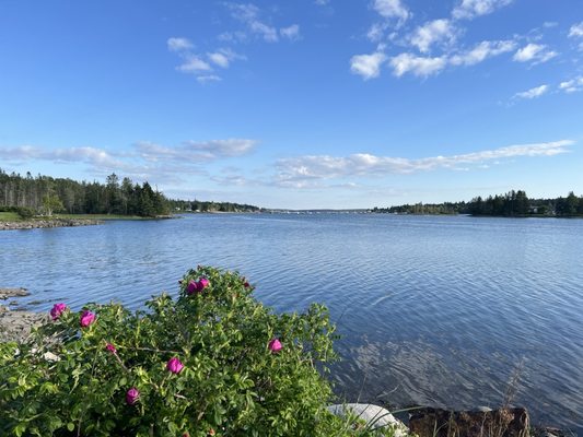 Archie's Lobster by null