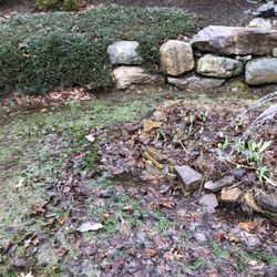 Accurate Well and Pump - The current state of my yard (4/19) AFTER they supposedly "fixed" the issue (according to the response to my review)