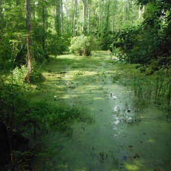 Cypress Gardens - Cypress Gardens - Parks Near Me - Moncks Corner, South Carolina Cypress Gardens - Cypress Gardens - Parks Near Me - Moncks Corner, South Carolina