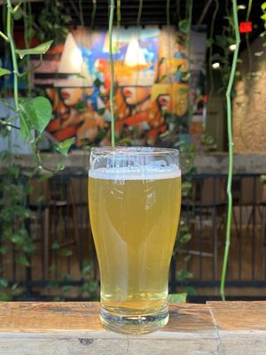 Young Blood Beer Company - King Street by null