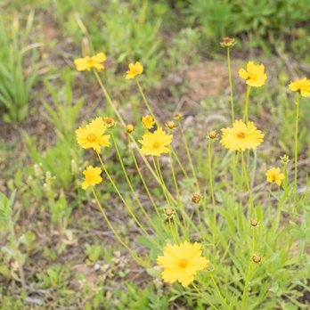 Ten Acre Garden - Pick Your Own Farms Near Me - Canton, North Carolina
