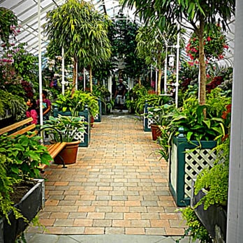 Volunteer Park Conservatory - Favorite room. - Parks Near Me - Seattle, Washington