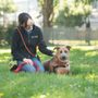 Photo of East Bay SPCA - Oakland