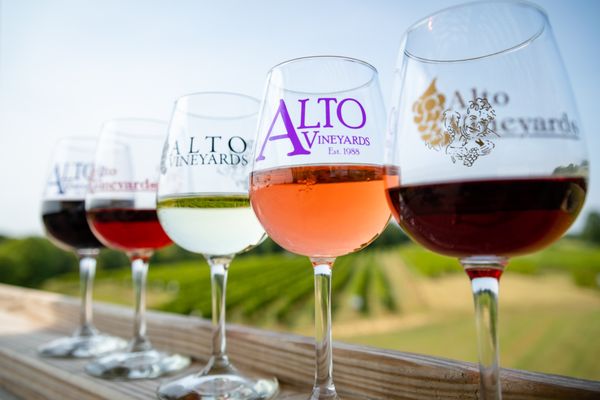 Alto Vineyards by null