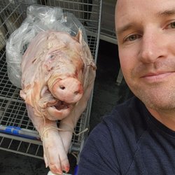 Sanders's Meat Market in Ballston Spa gift card