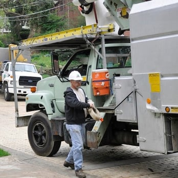 Ray's Tree Service and Landscaping - Tree Services Near Me - McKeesport, Pennsylvania Ray's Tree Service and Landscaping - Tree Services Near Me - McKeesport, Pennsylvania
