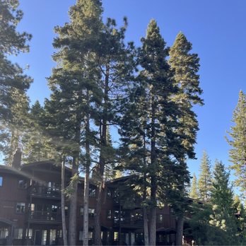 Granlibakken Tahoe - Guest quarters - Ski Resorts Near Me - Tahoe City, California Granlibakken Tahoe - Guest quarters - Ski Resorts Near Me - Tahoe City, California