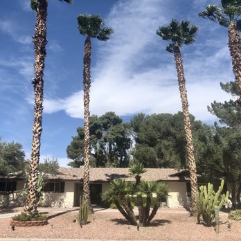 Nevada Tree Service - Tree Services Near Me - Las Vegas, Nevada Nevada Tree Service - Tree Services Near Me - Las Vegas, Nevada