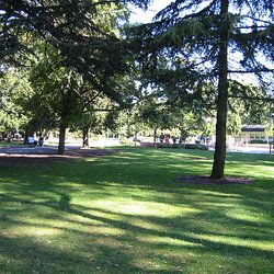 OutFit - Our main meeting location (Washington Park basketball courts)