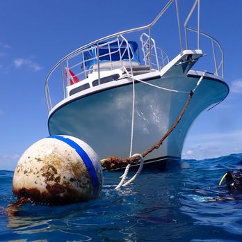 Diver's Paradise Miami - Scuba Diving Near Me - Key Biscayne, Florida