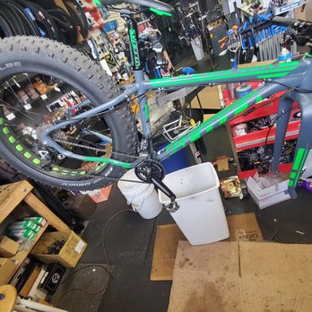 SeaGreen Bicycle - Fat tire bikes are always in good supply. - Bikes Near Me - Lewes, Delaware