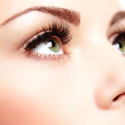 Baby Doll Luxury Lashes