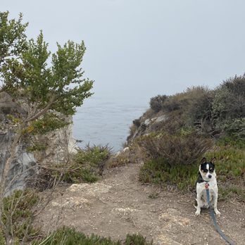 Dinosaur Caves Park - Parks Near Me - Pismo Beach, California