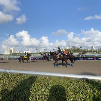 Gulfstream Park - Track at Gulfstream - Casinos Near Me - Hallandale Beach, Florida